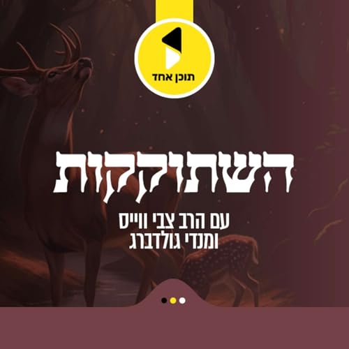 『השתוקקות | עם צבי וויס ומנדי גודלברג - מבית תוכן אחד』のカバーアート
