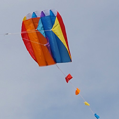 Besra Colorful Parafoil Kite With Long Tail Easy To Fly Outdoor Fun Sports For Kids & Adults(20Inch) #TOP2