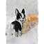 Boston Terrier - Black