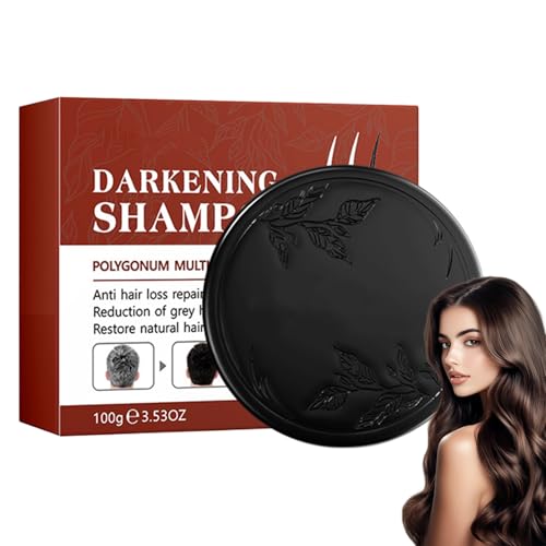 Bar De Champú Oscuro, Barra De Espuma De Cabello Plateado, Almohadilla De Champú De Viaje, Fórmula Nutritiva, Amigable Con Los Viajes, 60 G, Para Hombres, Estilos De Vida Ocupados., Profesionales