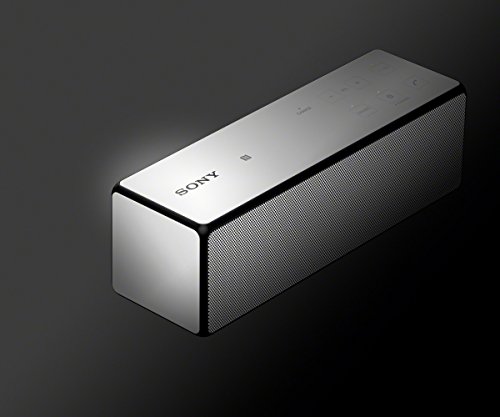 Sony SRS-X33 Speaker Wireless Portatile, Potenza