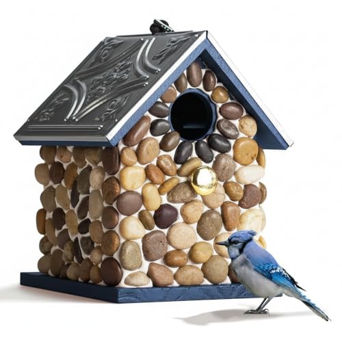 Masterpiece Bluebird Bird House for Outside Clearance, River Pebbles Cedar Bird House Bird Feeder for Outdoor, Hanging Birdhouse for Outside, Pole Mountable Birdhouse, 10 Yrs Lasting (Blue)