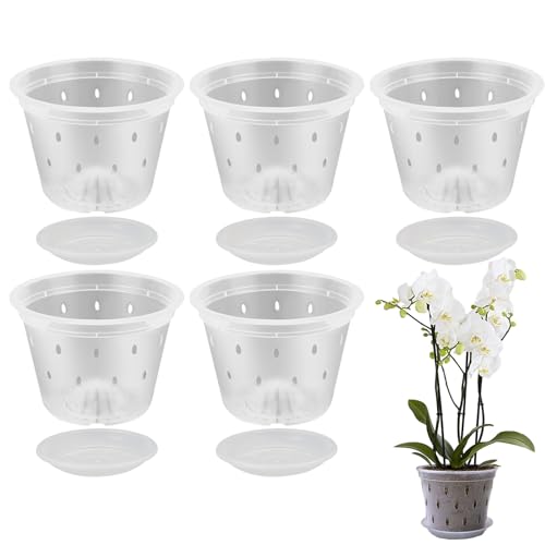 AւpANAt[|bg - t[|bgt̓ȐAؔ,ʋC̃Xbgtv^[AƃgCt|bg 5 ZbgAcJbvAؔOAT{ep