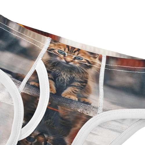 ODAWA Kitten Reflection Tag Free Boys Cotton Underwear, 2T Underwear4