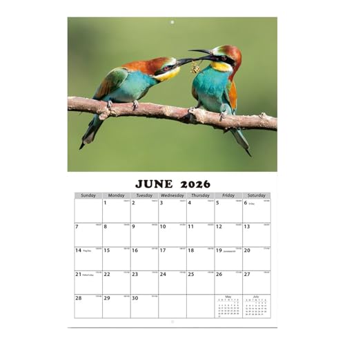 n`h Ǌ|J_[ 2026N - 킢n`hJ_[ 13 - 2026N1 - 2027N1 RDƂ̂߂̃EH[vi[ D̉ rO[  ItBX wZ ۈ牀 XPW[O