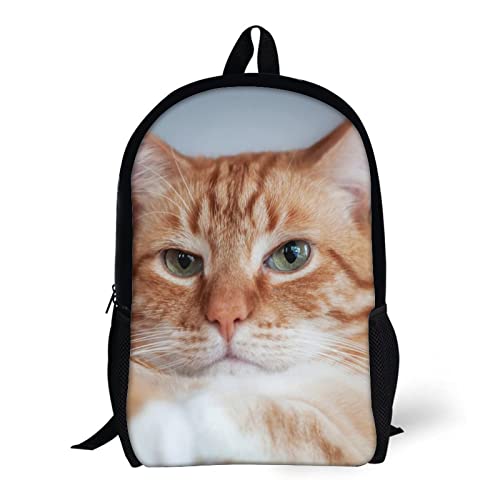 Sac à dos imprimé 3D chat 17 pouces unisexe pour école et loisirs