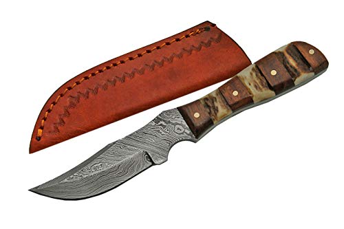 Damascus 6.25" Mini Stag/Wood Handle Hunting Knife With Sheath #TOP5