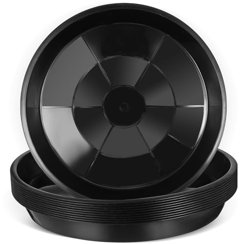 Zerodeko 10 Ԕu vX`bN Ԗ~ ϋvK[fjOpgC Aؔ󂯎M |p A_[gC prAAEghA