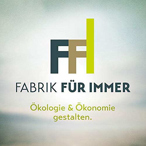 Fabrik f&uuml;r immer || &Ouml;kologie und &Ouml;konomie gestalten. Titelbild
