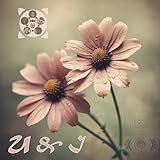 7519050 Records DK