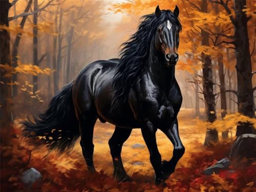 Kit Peinture Diamant Cheval Noir 60x40cm Anti-Stress complet pour s'initier au Point de Croix