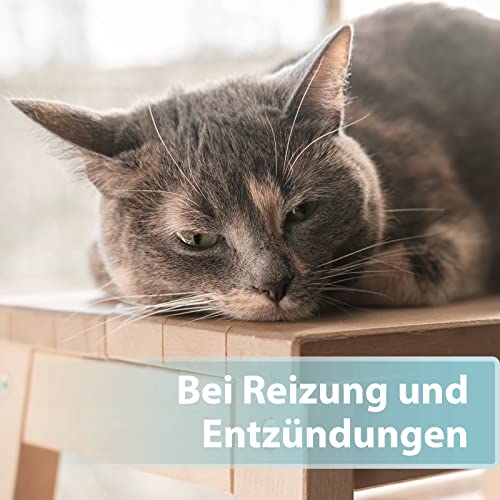 Felisept Hautpflegespray für Katzen 250ml - Milbenspray Katze - Grasmilben Katze - Juckreiz Katze - gegen Schuppen bei Katzen - Juckreiz Spray Katze - milde Pflegelotion mit natürlichen Wirkstoffen