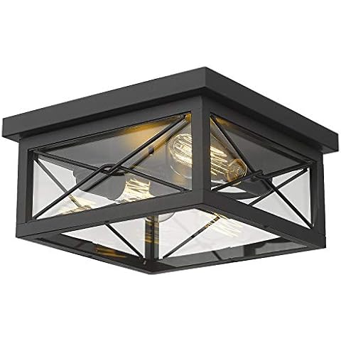 Emliviar 12 Inch Ceiling Light Fixture, 2-Light Flush Mount Ceiling Light in Black Finish, 0387B-CL BK Cover