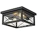 Emliviar 12 Inch Ceiling Light Fixture, 2-Light Flush Mount Ceiling Light in Black Finish, 0387B-CL BK