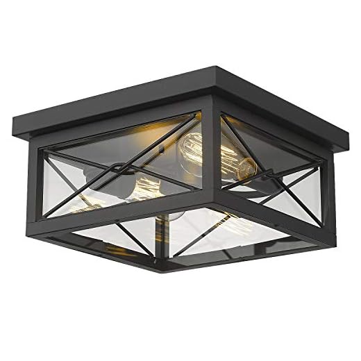 Emliviar 12 Inch Ceiling Light Fixture, 2-Light Flush Mount Ceiling Light in Black Finish, 0387B-CL BK