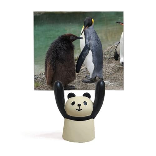 Panda décoratif pour bureau fini les photos qui tombent