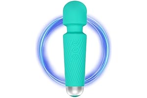 Electric Portable Back Massager