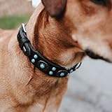 HUNTER SIOUX Hundehalsband, Leder, indianischer Stil, mit Schmucksteinen, 60 (M-L), schwarz