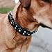 HUNTER SIOUX Hundehalsband, Leder, indianischer Stil, mit Schmucksteinen, 60 (M-L), schwarz