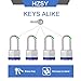 HZSY Padlocks Keyed Alike, Pack of 12, Laminated Steel Keyed Lock (1-9/16