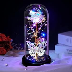 Mothers Day Rose Flowers Gifts for Mom from Daughter,Butterfly Birthday Gifts for Women, Mom Gifts for Mothers Day Wife Sister Her Grandma Mother Presents, Galaxy Light Up Rose Flower in Glass Dome