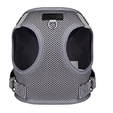 Entretien Facile et Pratique: Le Gilet pour Chiot offre une fonctionnalité pratique et facile à entretenir, permettant aux propriétaires d'animaux de simplement le rincer à l'eau ou de l'essuyer pour un aspect net et soigné. Ce processus de nettoyage sans effort assure une hygiène optimale, prêt pour les activités quotidiennes en extérieur comme les promenades ou les séances d'entraînement avec votre chiot. La simplicité d'entretien garantit que le gilet reste toujours propre et confortable,