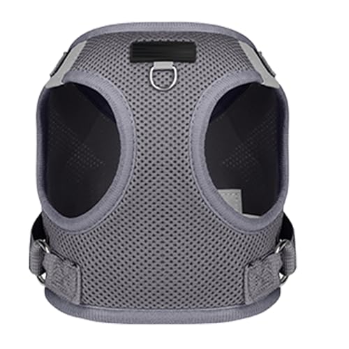 �p�s�[ �n�[�l�X,���^���p �y�� �� �\�t�g �� - ���� �\ �� �x�X�g �^ �n�[�l�X �� ���� �X�g���b�v �t�� - �ʋC�� �q�� ���^�� �p �U�� �����j���O �g���[�j���O �n�C�L���O ���