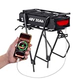 48V 30ah batteria per bici elettrica con portapacchi per kit ruote di conversione Ebike - batteria al litio con caricabatterie rapido da 4 A