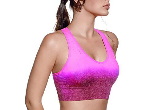 Modelo 344. Diana Sujetador Deportivo con Degradado Bicolor SIN Costuras con Copa DE Relleno EXTRAÍBLE, CÓMODA Espalda OLÍMPICA EN Y. Control Y Firme Sujetador.