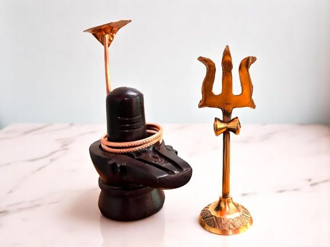 Buy ANI DIVINE Black Shivling Puja Set of Copper Naag Brass