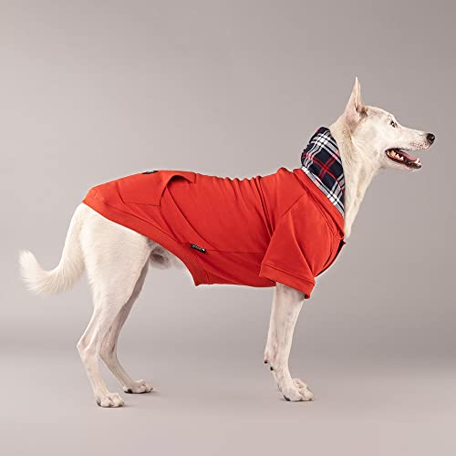 Image of Heads Up For Tails cotton HUFT Sweatshirt for Dogs - Rust, l, 1 count