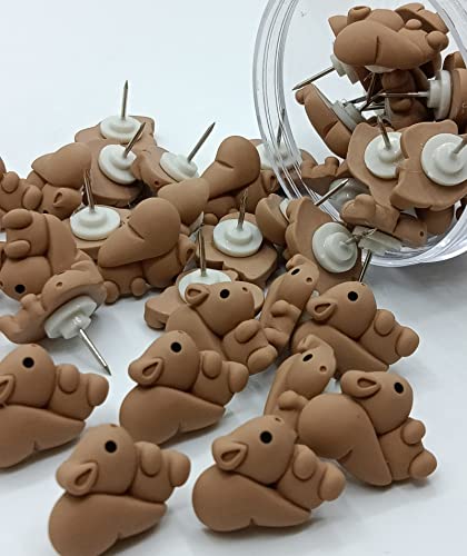 Afagarly Thumb Tacks, 25 Pcs Push Pins Handmade Pin For Bulletin Board Diy Creative Decorative Cute Squirrel Resin Sharp Pins Drawing Pin For Wall Map Photo Memo Office Products #TOP3