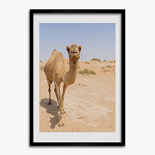Affiche chameau désert avec cadre bois moderne 50x70 cm pour décoration murale