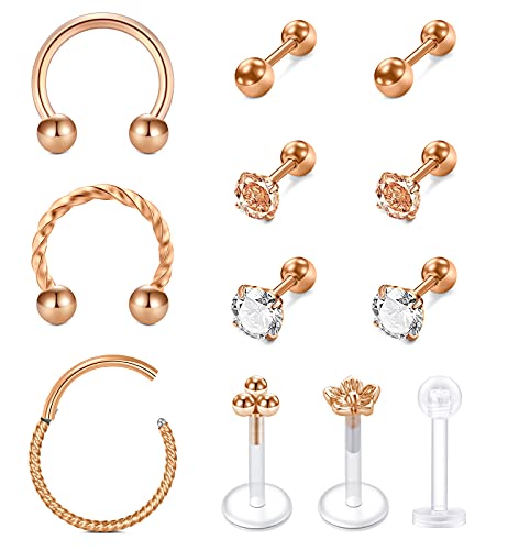 Rajnard Piercing Helix Acero Inoxidable Aros para Mujeres Anillo Stud Piercing Tragus Helix Daith Rook Perforación del Cuerpo Joyería 12 Piezas de Oro Rosa Cover