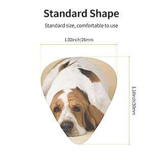 Pack de 12 médiators basset hound pour guitare électrique guitare acoustique diverses guitares - Les Beatles, Paul McCartney, John Lennon, RIngo Starr, George Harrison Pack de 12 médiators basset hound pour guitare électrique guitare acoustique diverses guitares – Image 3