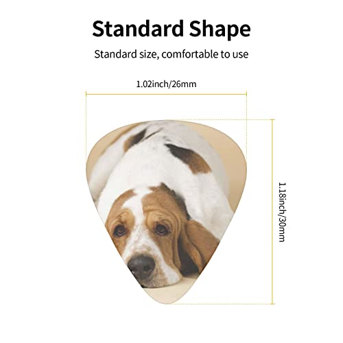 Pack de 12 médiators basset hound pour guitare électrique guitare acoustique diverses guitares - Les Beatles, Paul McCartney, John Lennon, RIngo Starr, George Harrison Pack de 12 médiators basset hound pour guitare électrique guitare acoustique diverses guitares – Image 4