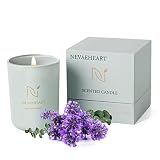 Scented Candle for Home,Lavender Eucalyptus Candles for Home Scented,8.1OZ Aromatherapy Candle Gift
