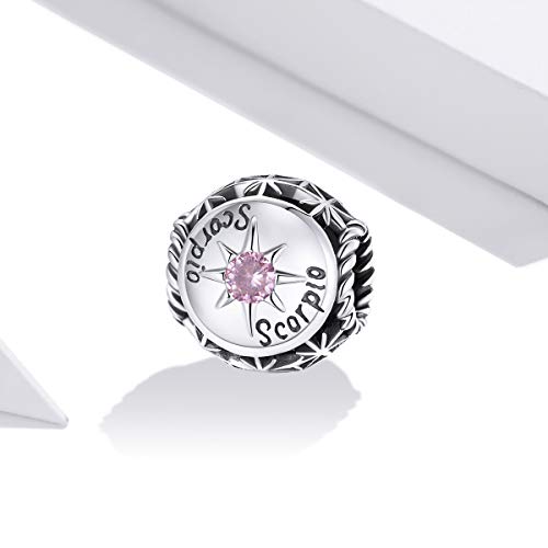 Image of 12 Constellation Charms 925 Sterling Silver Crystal Zircon Charms Family and Friends' Birthday Charm Birthstone Charms for Women Bracelets