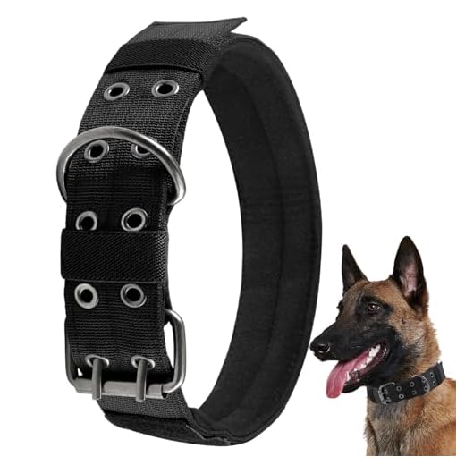 Collier de Chien Tactique, Militaire Réglable Nylon Chien, Large Collier Grand Gros Tactique, Dressage Solide avec Boucle en Métal Robuste, pour Rottweiler, Mastiff, Doberman, Berger (XL, Noir)
