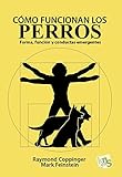 comida para perros as  Cómo funcionan los perros: Forma, función y conductas emergentes