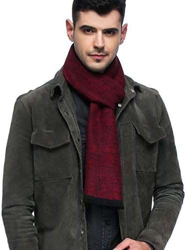HOYAYO Mens Scarfs Warm Long Winter Formal Business Scarf