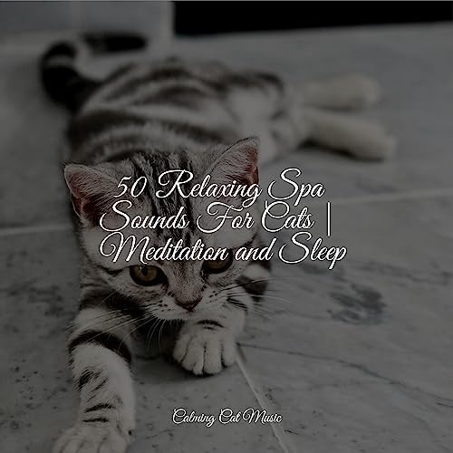 Riproduci 50 Relaxing Spa Sounds For Cats | Meditation and Sleep di ...