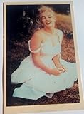  Générique Marilyn Monroe - Tarjeta Postal (10 x 15 cm)