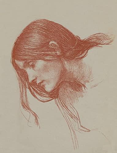 Toile John William Waterhouse From a Study in Sanguine pour décorer un salon chaleureux