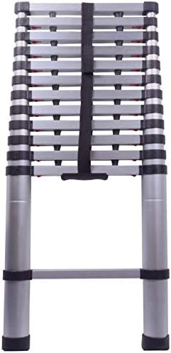 iReach Ladder