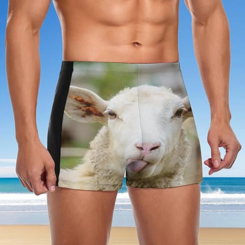 Short de bain homme séchage rapide Mouton Mignon boxer natation sport