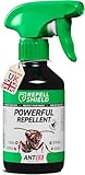 RepellShield Ant Repellent Indoor & Outdoor Spray -250ml- Effective Natural Ant Spray For Kitchen, Home, Patio & Garden - Family & Pet Friendly Peppermint Ant Repellent - No Stains - Made in Germany