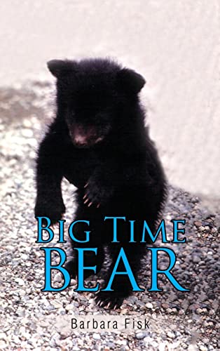 Big Time Bear view 2