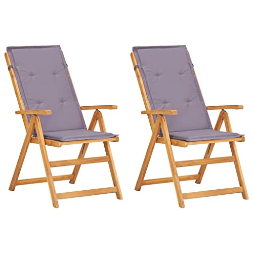 Vidaxl Outdoor Recliner Chairs 2 Pcs, Patio Reclining Chair With Cushions, Recliner Patio Lounge Chair For Garden Outdoor, Brown Solid Wood Acacia #TOP9