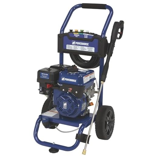 Powerhorse Gas Cold Water Pressure Washer